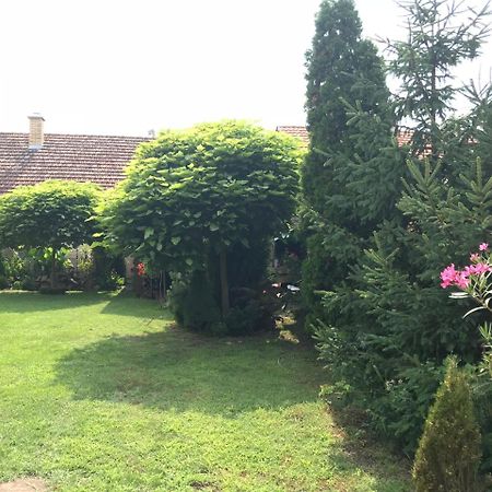Villa Nirvana Палич Екстериор снимка