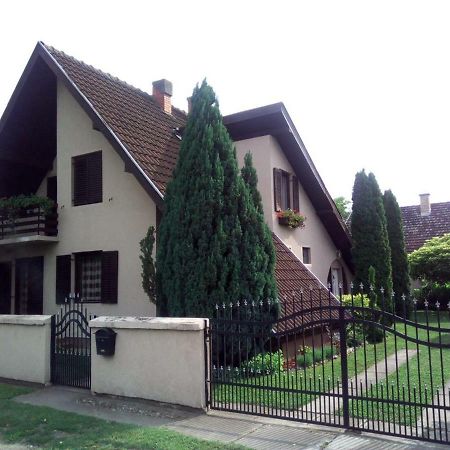 Villa Nirvana Палич Екстериор снимка