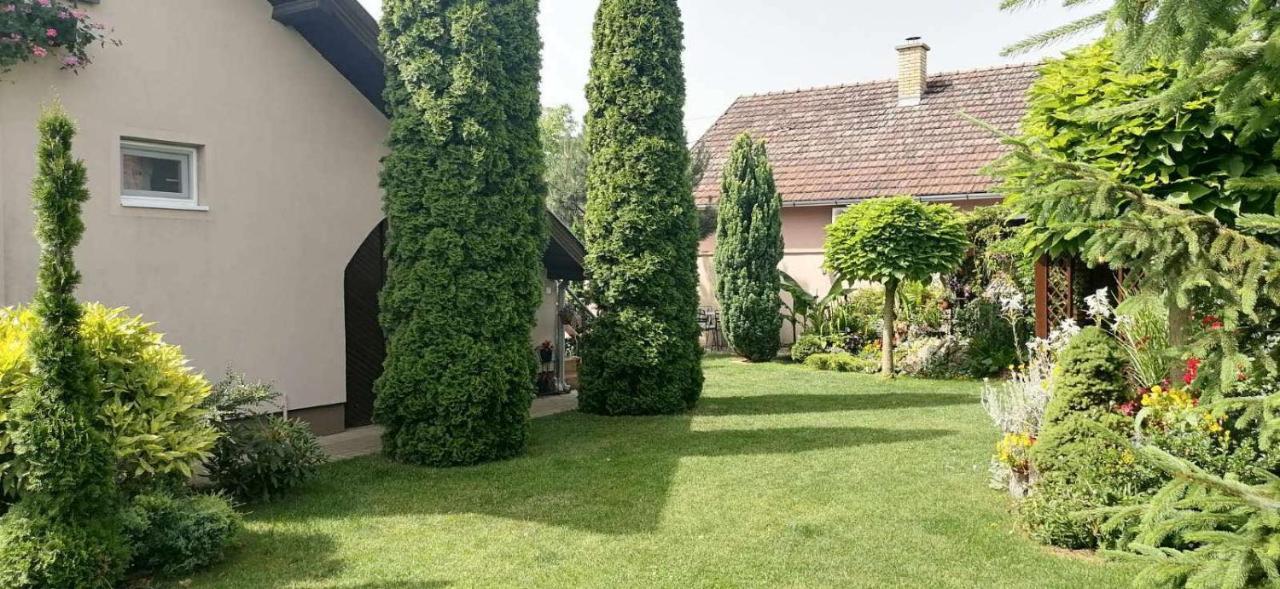 Villa Nirvana Палич Екстериор снимка