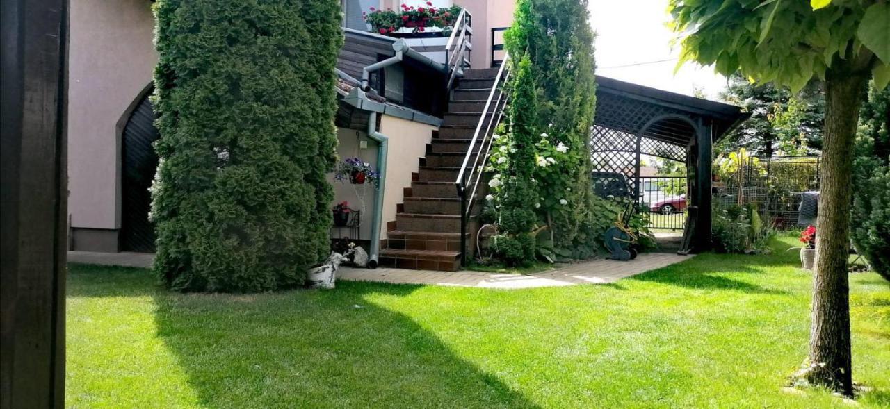 Villa Nirvana Палич Екстериор снимка