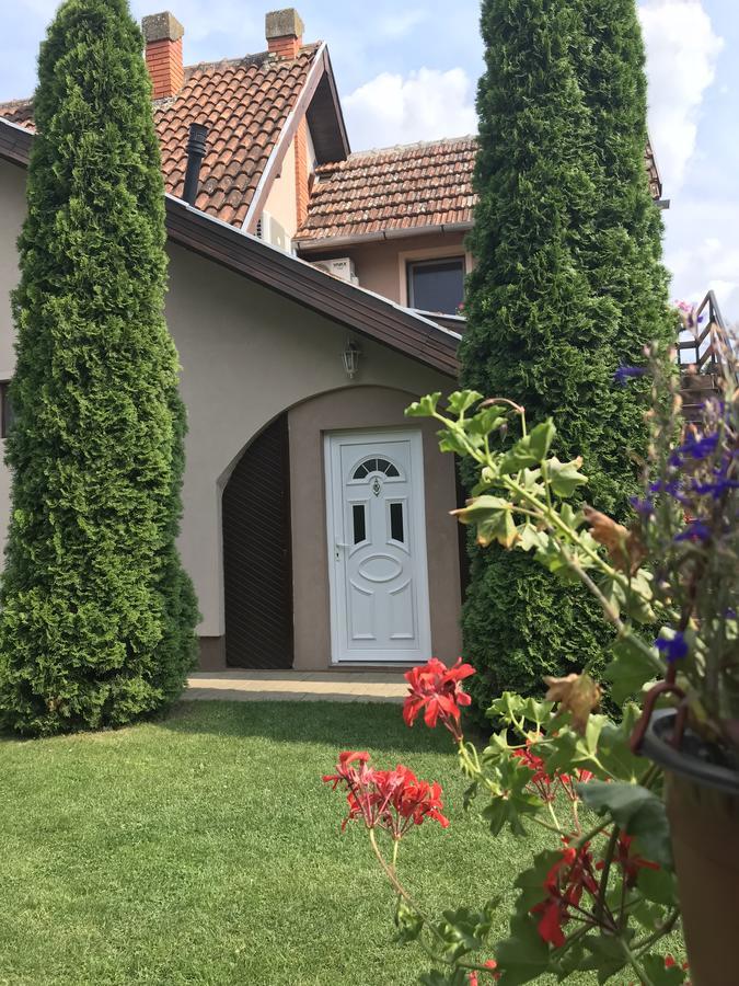 Villa Nirvana Палич Екстериор снимка