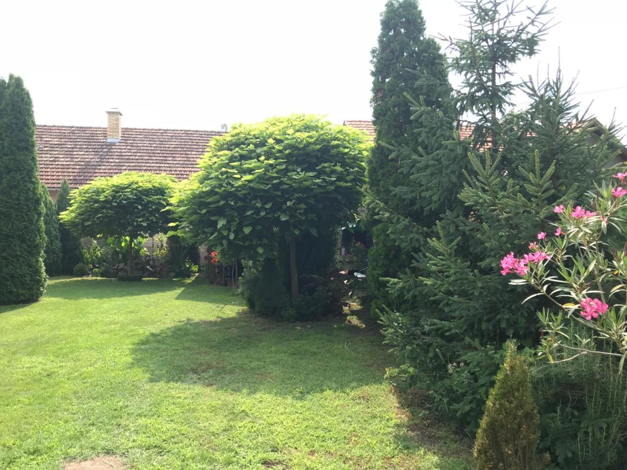 Villa Nirvana Палич Екстериор снимка