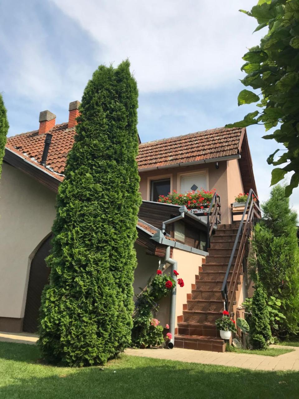 Villa Nirvana Палич Екстериор снимка